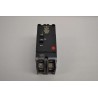 BREAKER TEY 2 X  30A 480/277V GE
